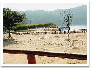 충남수퍼 이미지