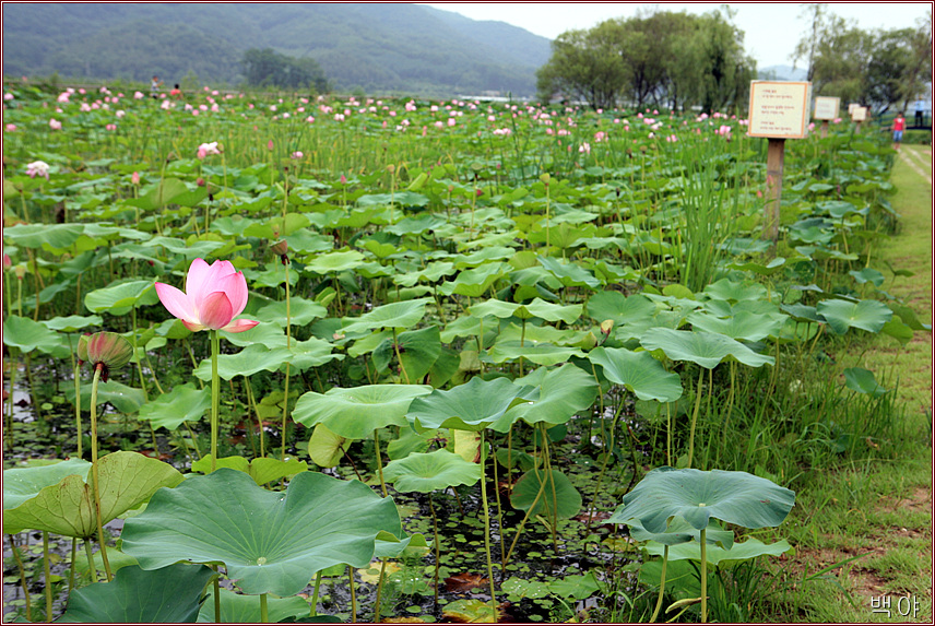 �̹����� Ŭ���ϸ� ������ ���� �� �ֽ��ϴ�.