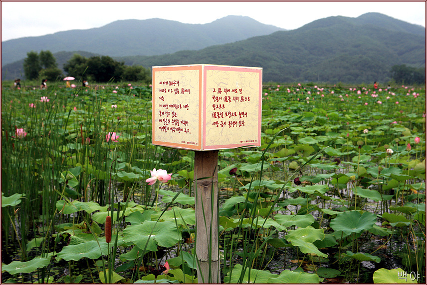 �̹����� Ŭ���ϸ� ������ ���� �� �ֽ��ϴ�.