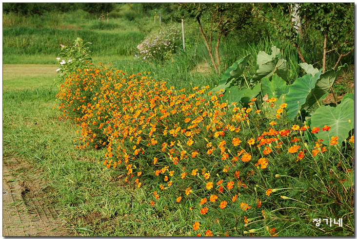 �̹����� Ŭ���ϸ� ������ ���� �� �ֽ��ϴ�.