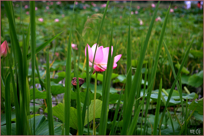 �̹����� Ŭ���ϸ� ������ ���� �� �ֽ��ϴ�.