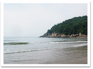 충남수퍼 이미지