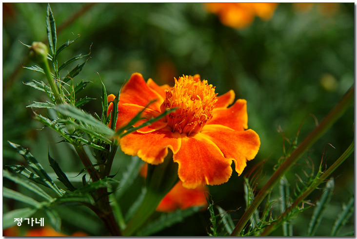 �̹����� Ŭ���ϸ� ������ ���� �� �ֽ��ϴ�.