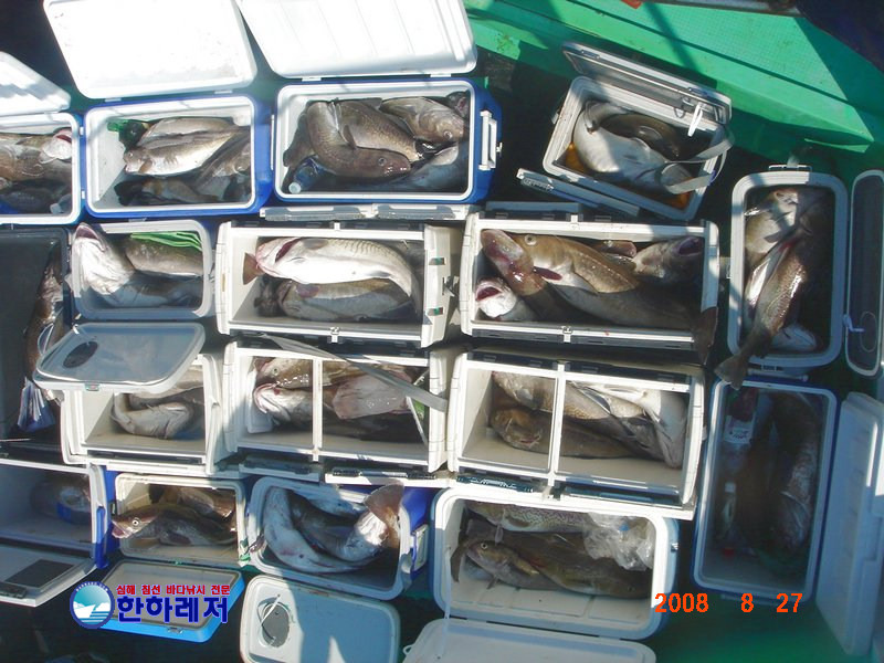 한하 이미지