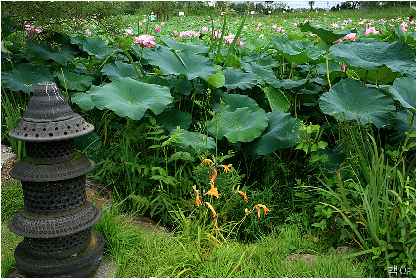 �̹����� Ŭ���ϸ� ������ ���� �� �ֽ��ϴ�.