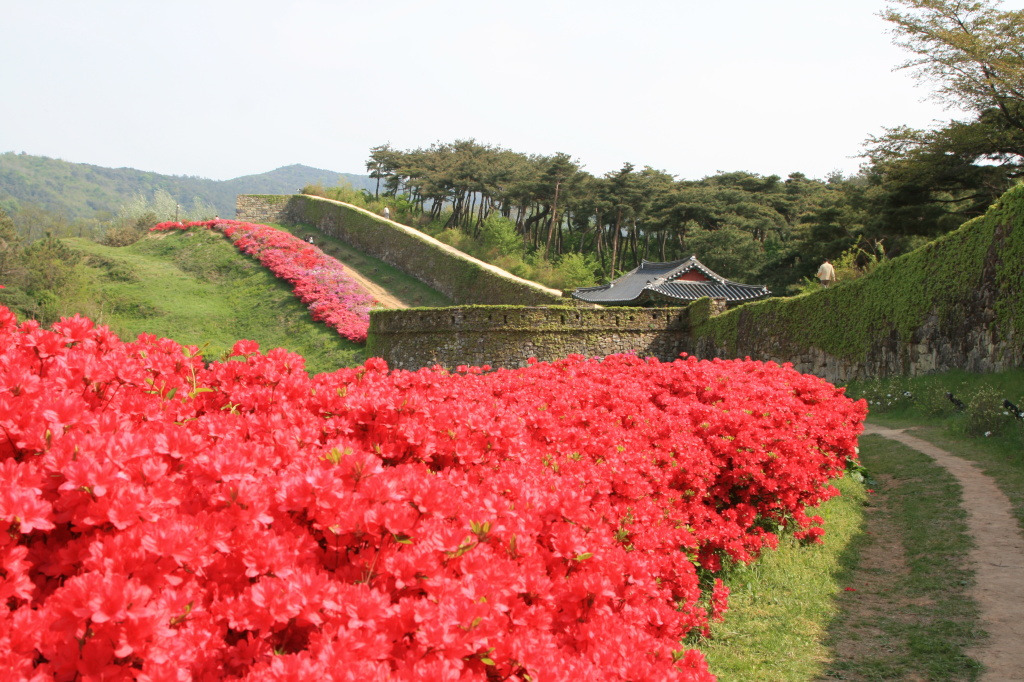 지전부리 이미지