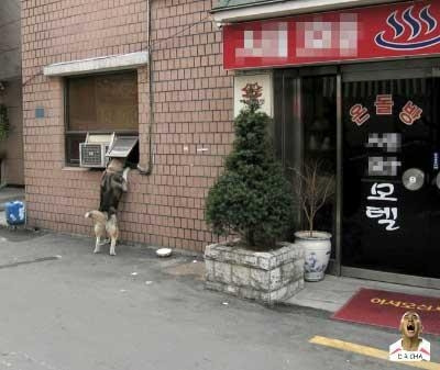 성립 이미지