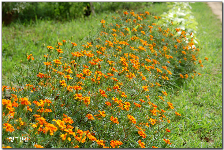 �̹����� Ŭ���ϸ� ������ ���� �� �ֽ��ϴ�.